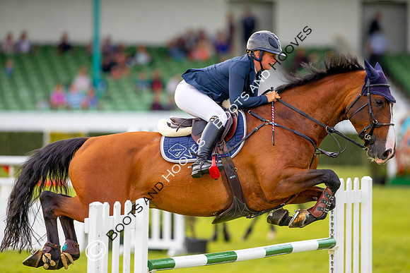 Great Yorkshire Show
