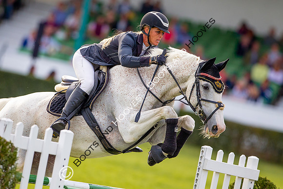 Great Yorkshire Show