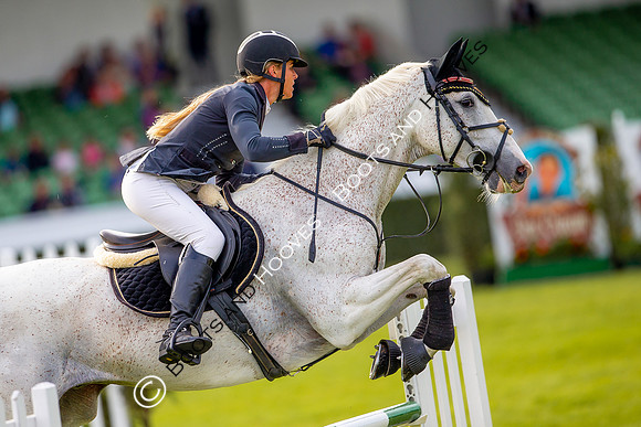 Great Yorkshire Show