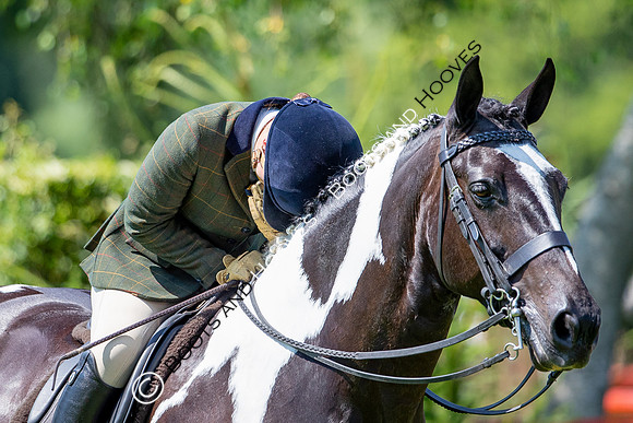 The Prenetics Royal International Horse Show