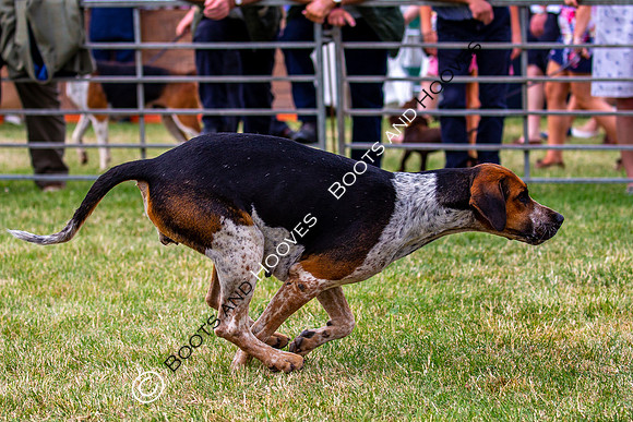 Festival of Hunting