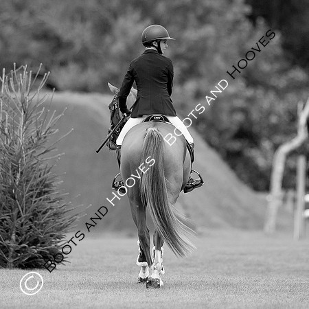 Science Supplements All England Jumping Championships