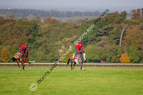 Newmarket
