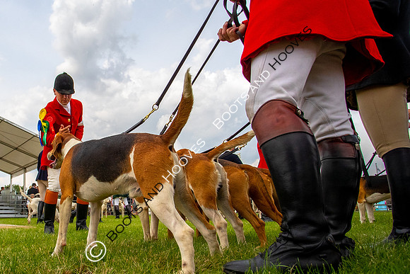 Festival of Hunting