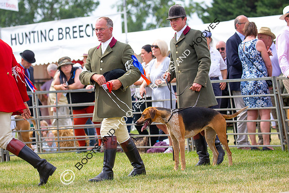 Festival of Hunting
