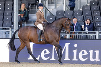 Royal Windsor Horse Show