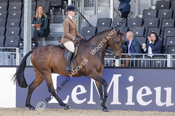 Royal Windsor Horse Show