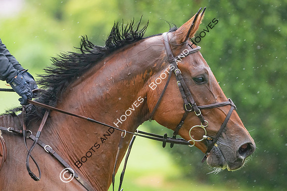 The Prenetics Royal International Horse Show