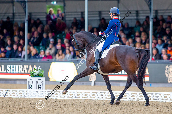 Royal Windsor Horse Show