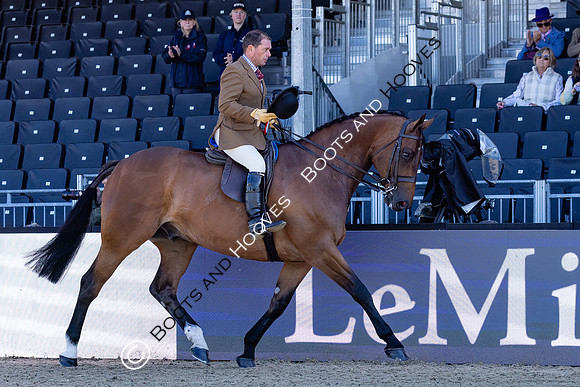 Royal Windsor Horse Show