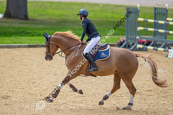 British Young Horse Championships Hickstead 2024