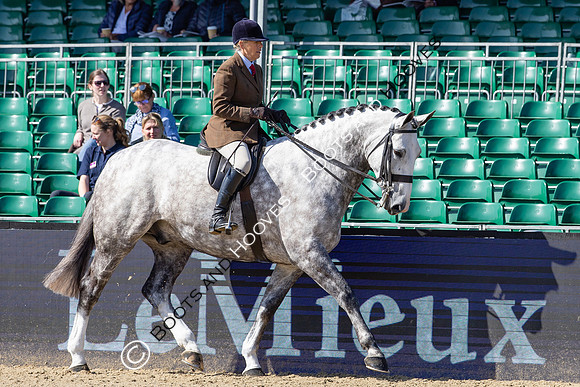 Royal Windsor Horse Show