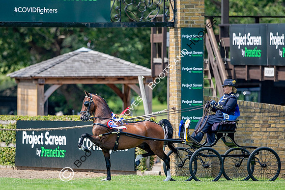 The Prenetics Royal International Horse Show