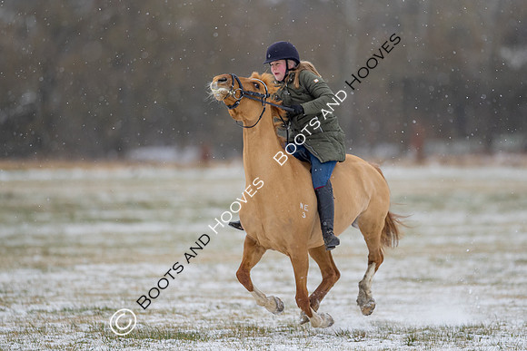 Snow Day