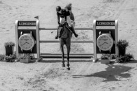 Longines FEI European Championships