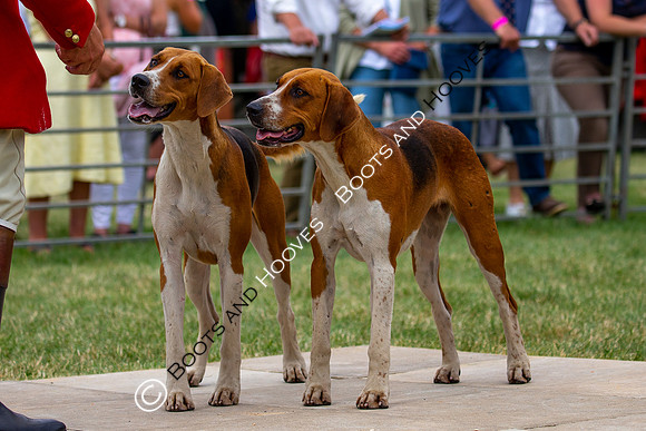 Festival of Hunting
