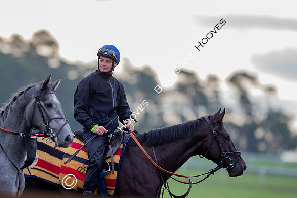Newmarket