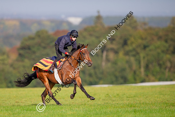 Newmarket