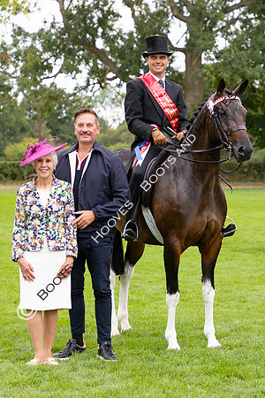 The Royal International Horse Show