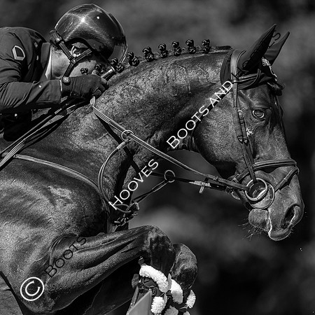 Longines FEI European Championships