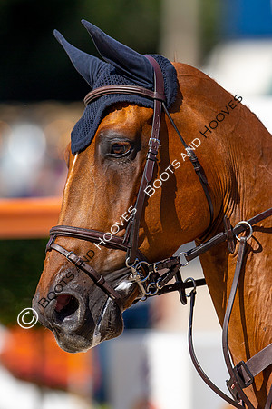 Longines FEI European Championships