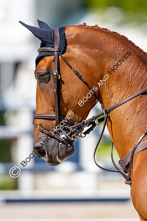 Longines FEI European Championships