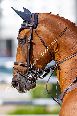Longines FEI European Championships