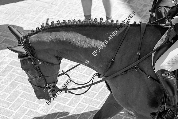 Longines FEI European Championships