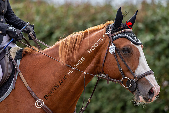 Science Supplements All England Jumping Championships