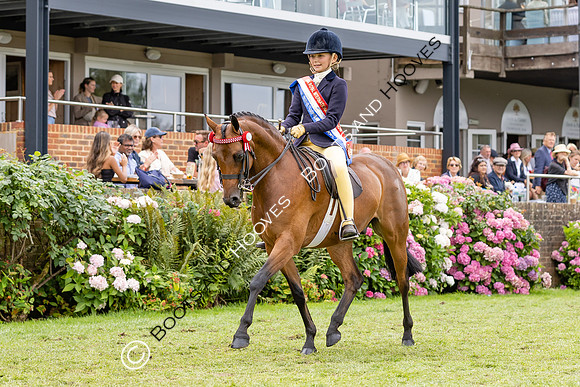 The Agria Royal International Horse Show