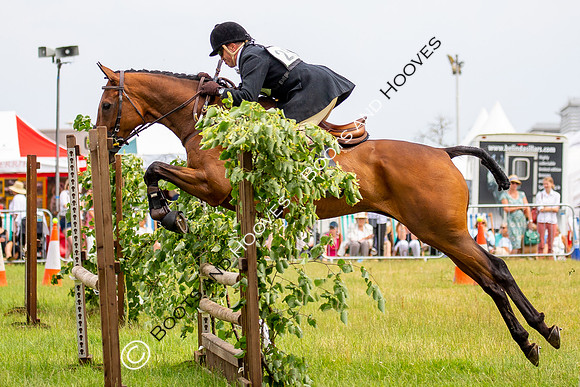 Festival of Hunting