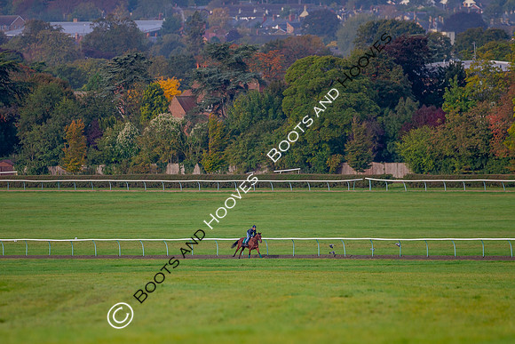 Newmarket