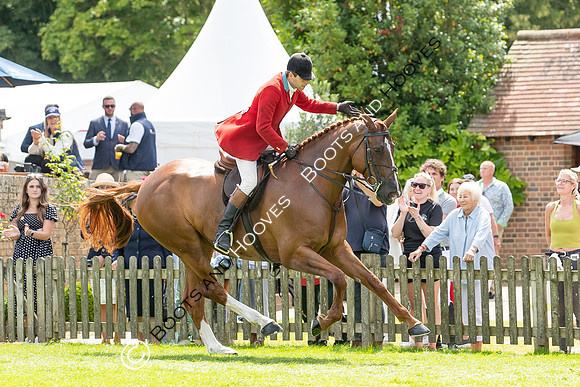 The AGRIA Royal International Horse Show