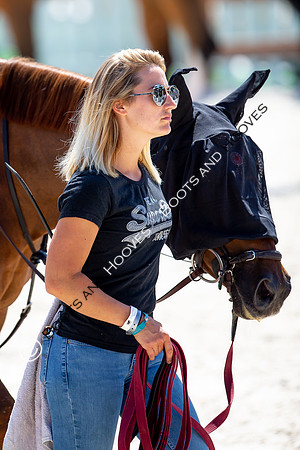 Showjumping