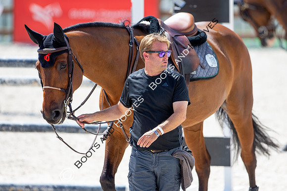 Showjumping