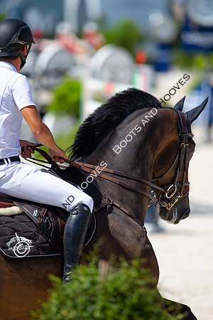 Showjumping