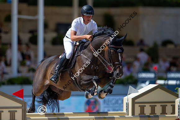 Showjumping