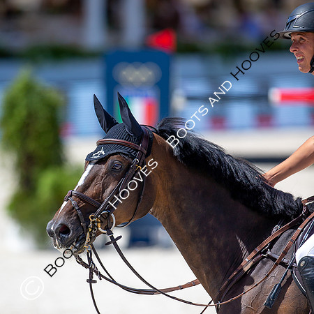 Showjumping