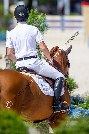 Showjumping