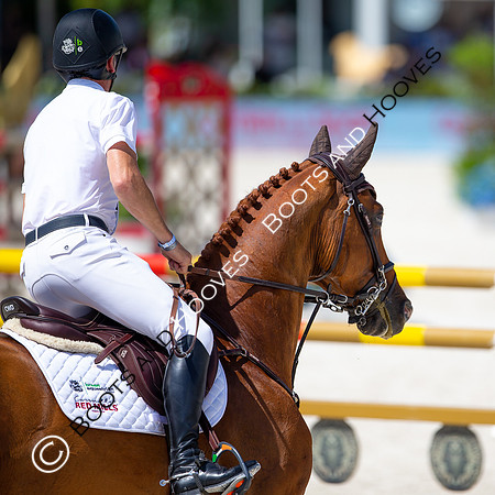 Showjumping