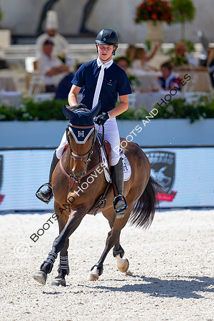 Showjumping