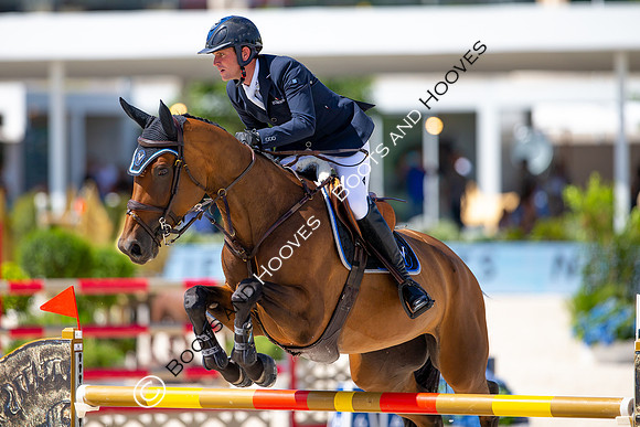 Showjumping