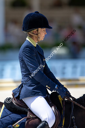 Showjumping