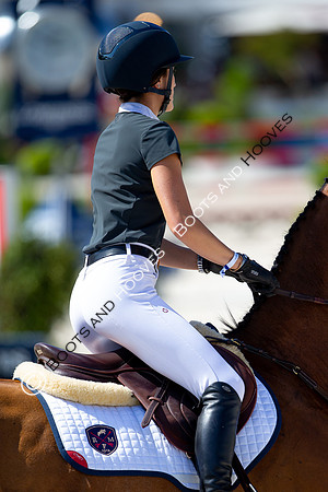 Showjumping
