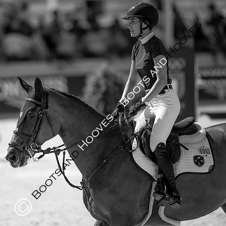 Showjumping