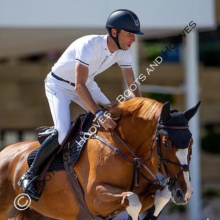 Showjumping