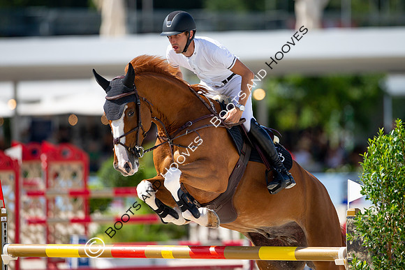 Showjumping
