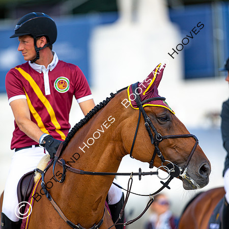 Showjumping