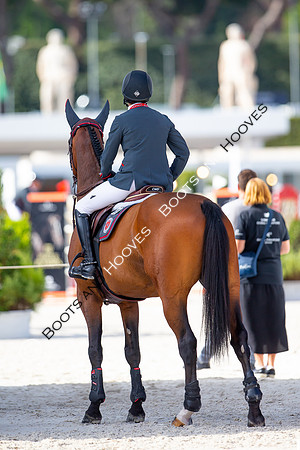Showjumping