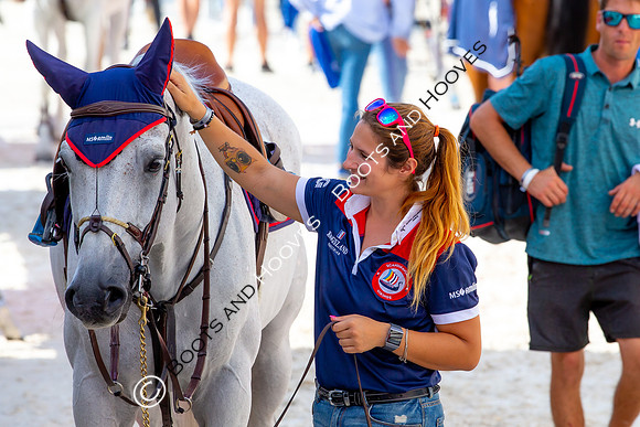 Showjumping
